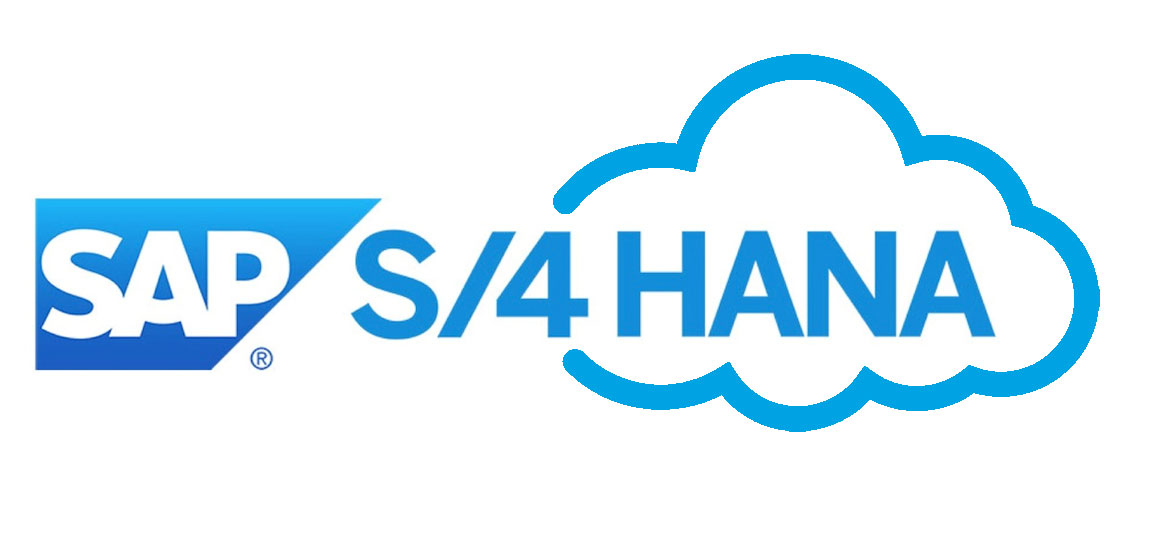 SAP 4s/Hana Integration, SAP ABAP Development